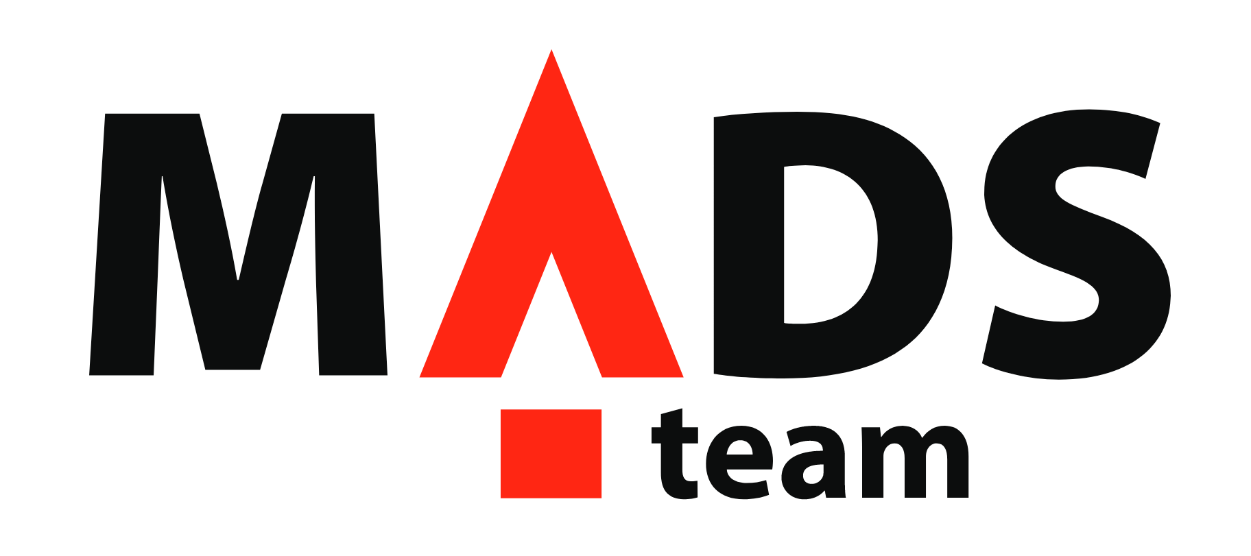 MADS team